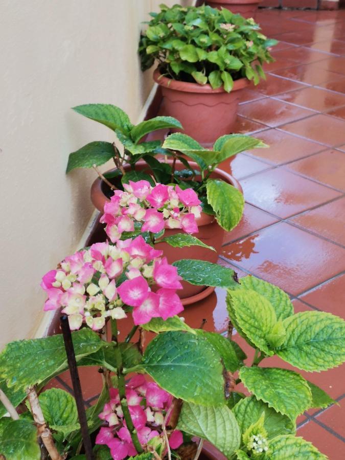 Tropea Home 外观 照片